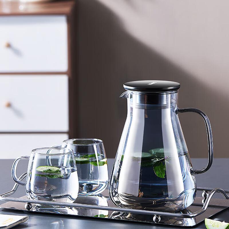 SUPOR Double-Wall Heat-Resistant Glass Water Cups (Set of 2)