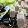 10/5 Stück Anzuchttöpfe Samenanzucht Wachstums-Nährstoffbecher Blumenpflanzenbehälter Garten Mini-Blumentopf Hausgartenwerkzeuge