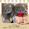 Funny Cat Fluffy and Warm Room Shoes Japanese Shoe One Size Fits [IMPACT Online] Slippers, (Gray, Sizes, Adult, Alphabet, All)