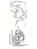 Whimsical Cat Hugging Metal Wall Art - Exquisite Silhouette, Easy Hang, Perfect Gift for Cat Lovers