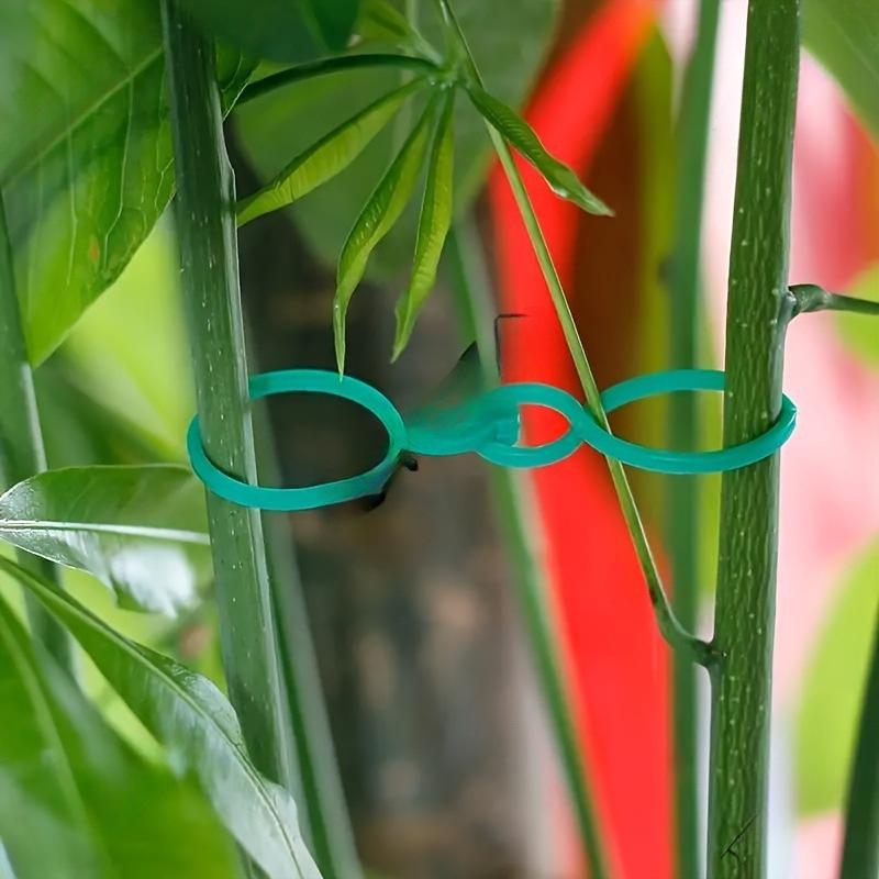 Gardening Figure-8 Buckle Plant Fixing Clips for Vegetables, Fruits, and Vines