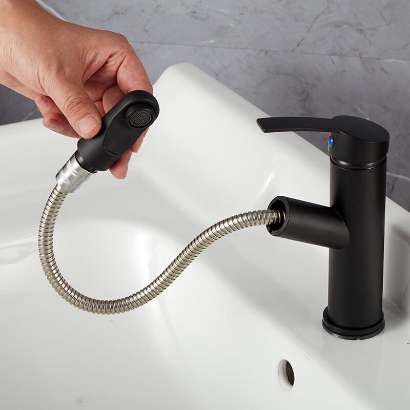 TLXT Pull-Out Hot & Cold Basin Faucet
