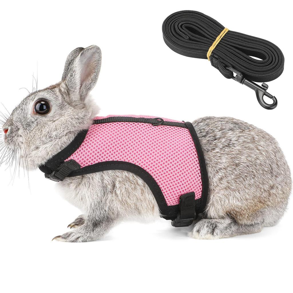 Breathable Mesh Rabbit & Small Dog Chest Harness with Leash