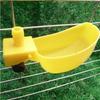 Quail and Pigeon Cage Drinking Bowl