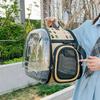 Tragbare faltbare Haustiertransporttasche Transparente Umhängetasche für Katzen und Hunde Kleine Haustier-Reise-Umhängetasche mit atmungsaktivem Netz