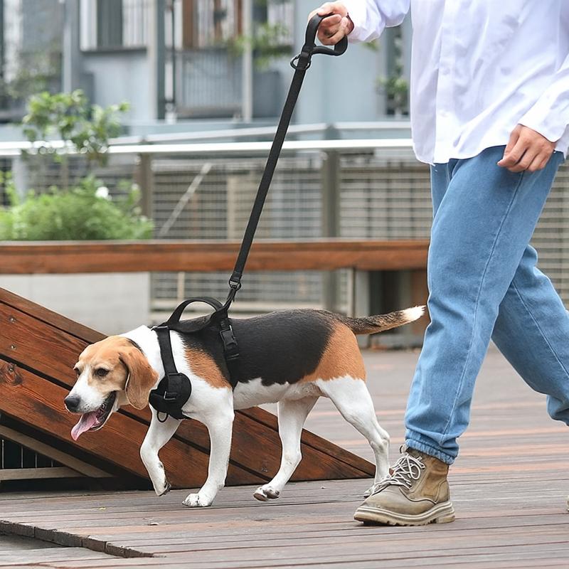 Jacquard Dog Leash (Gray M)