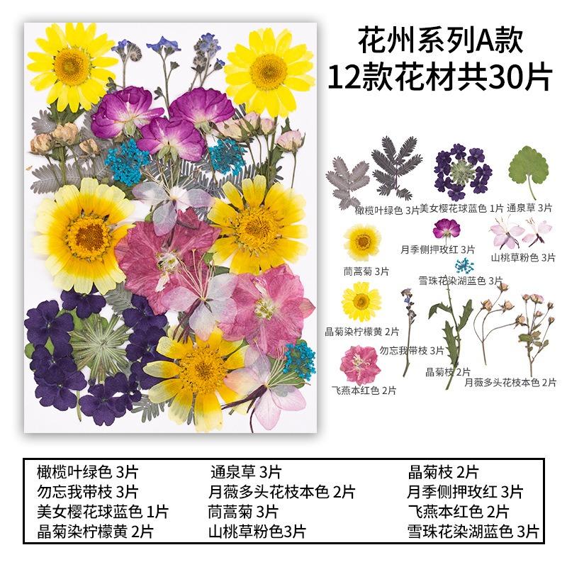 Natural Dried Flowers Pack For Diy Resin Pressed Flower Art