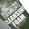 DERMA FACTORY EDLP Houttuynia Cordata 24% Cleansing Foam - 120g