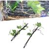 Reptile Corner Branch, 2 Pcs Plastic Strong Durable Imitation Bendable Jungle Climbing Vine Suction Cup Design Flexible Terrarium Plant Decoration