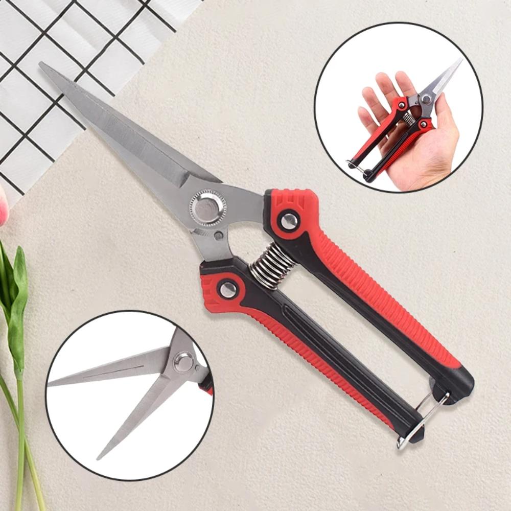 Stainless Steel Pruning Shears Sharp Branch Scissors with Non Slip Handle for Garden Fruit Tree Trimming Tools