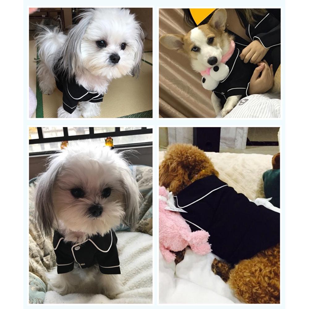 petsmart rain jacket