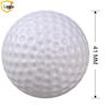 Palline Vuote Lan Da PE per Allenamento Golf Indoor