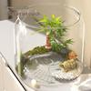 High-Transparency Desktop Fish & Turtle Tank with Climbing Platform – Ornamental Betta Eco-Tank for Living Room