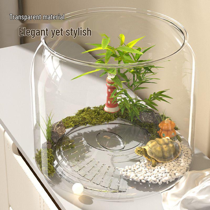 High-Transparency Desktop Fish & Turtle Tank with Climbing Platform – Ornamental Betta Eco-Tank for Living Room