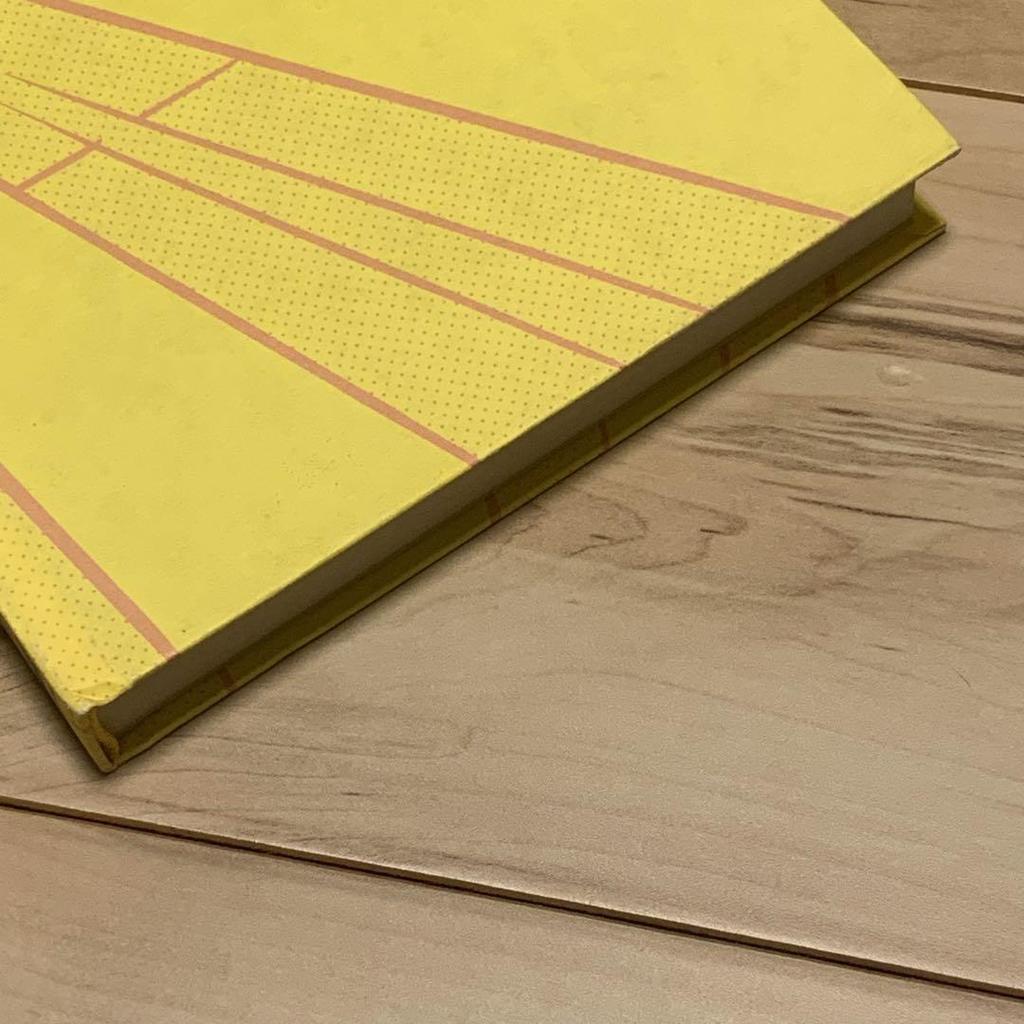 [USED] Rare Yuichi Yokoyama Published by VIAJE YUICHI YOKOYAMA APAAPA