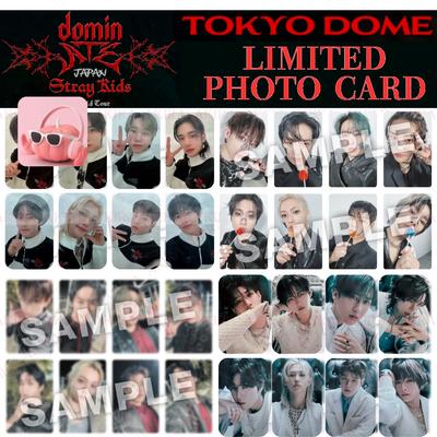 STRAY KIDS Мировой тур dominATE JAPAN TOKYO ОГРАНИЧЕННАЯ ФОТОКАРТОЧКА ОФИЦИАЛЬНАЯ GIANT