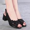 Sandali in rete Sandali da donna con tacco alto a becco di pesce Suole morbide scavate e scarpe da lavoro con tacco spesso Estate