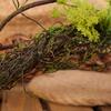 Artificial Rattan Vine Wall Hanging with Moss for Indoor Decoration