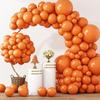 Metallic Gold Latex Balloons Multi Sizes  Balloon Arch Kit for Birthday Party Graduation Baby Shower