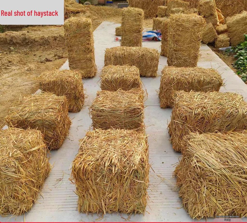 Square Round Hay Bale: Farmhouse Straw Decoration and Photo Prop