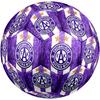 Austria Vienna FC Size 5 Soccer Ball, Machine-Stitched PVC, Durable & High Bounce, All Ages Fit, Fan Merchandise, Matches & Outdoor Use.