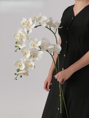 Luxury Artificial Phalaenopsis Arrangement: Elegant Floral Art for Living Room, Wedding, and TV Cabinet Decor, Featuring 9 High Branch Blooms.