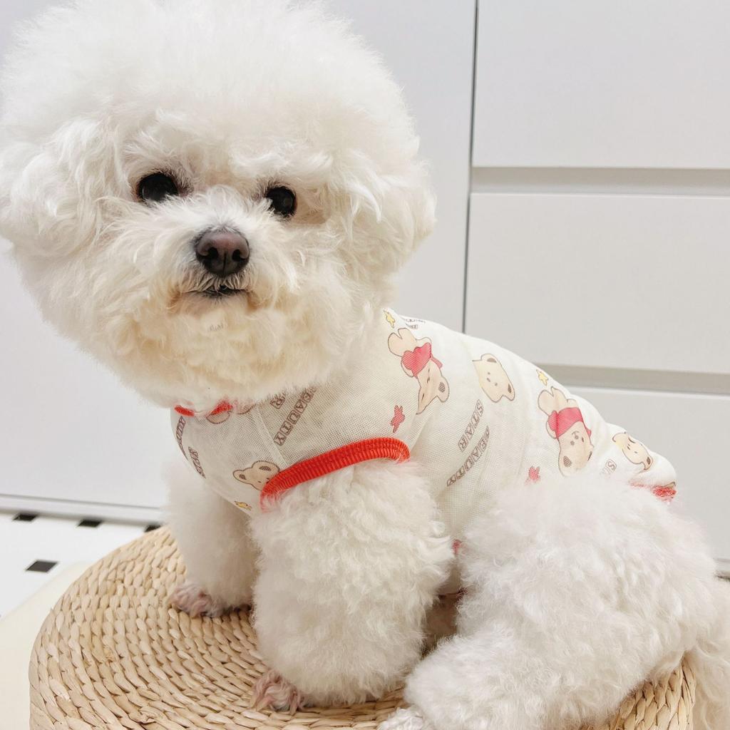 Haustier Sommer Sonnenschutz Katze Weste Frühling Sommer Atmungsaktiv Anti-Haaren Hunde Kühlkleidung Katze Outdoor Hundekleidung