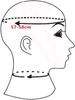 Přírodní latexová maska ​​Gumová kapuce Fetish SM Fetish Restraint Headgear Latex Headgear Bar Playing Mask Halloween Mask [OnundOn] 100% - -