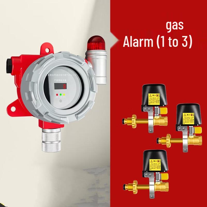 

Lieve Gas Leak Alarm System with Auto Shut-off Valve