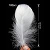 100Pcs White Feather Goose Feathers for Crafts DIY Wedding Party Halloween Decoration Goose Nagoire Feathers