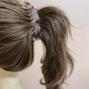 Special Hair Clips for Medium To Thick Hair: High Ponytail, Vertical, Twist Clips & More for Women.