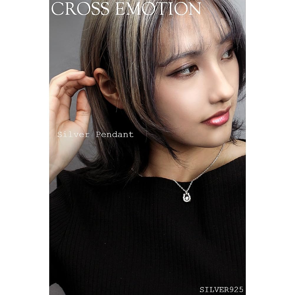 Special Edition Dancing Stone Horseshoe Silver 925 Necklace for Men [Cross Emotion]
