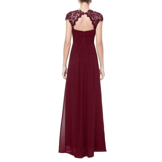 Rochie Lungă de Petrecere cu Dantelă cu Strasuri pentru Femei, cu Mâneci Scurte, Decolteu Adânc la Spate, Croială Slim Fit, Plisată