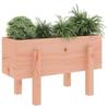 VidaXL Planter 62x30x38 Cm Solid Douglas Wood 825182