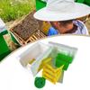 Mini Beehive Beekeeping Box Multi-Function Home Bee Boxes Bee Beekeeper Hive Hive Harvest Pollination Supplies Mating W0N5