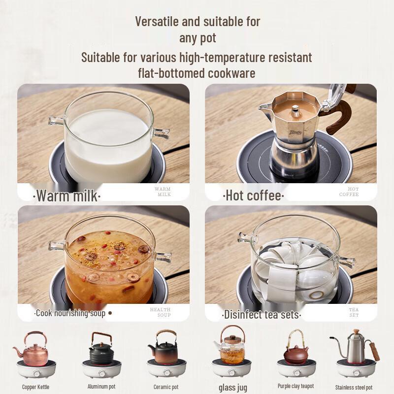 BEAR Multifunction Electric Tea Maker and Induction Cooker CN Plug (adapter Included)