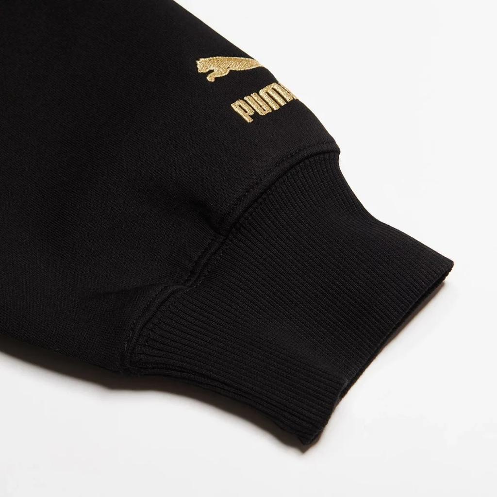 Puma Windproof Hooded Casual Sports Long Sleeve Sweatshirt Men Sweatshirt Black 536577-01
