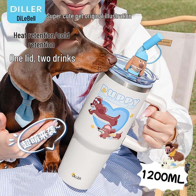 

Diller Insulated Straw Cup with Handle