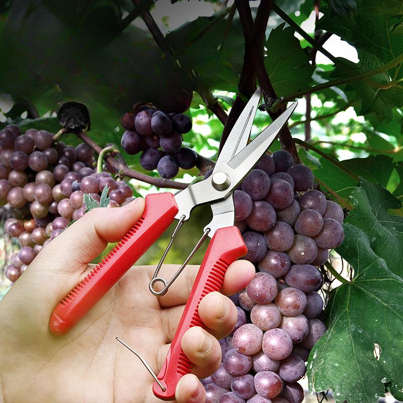 3 Straight Pruning Size Head Shears Stainless Steel Non Slip Handle Garden Scissors For Bonsai Household Use