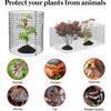 Metal Mesh Plant Protectors,Expanding Tree Guard Hedge Protector Rabbit, Rodent