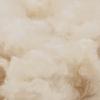All Season Duvet Beige 155 x 220 cm 100percent  Natural Kapok