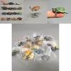 Marine Animal Model Pvc Green Sea Turtle Collectors Figure For Kids And Decor