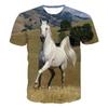 T-shirt Casual Confortevole Stampa Animale Cavallo 3D Carina Tendenza Estiva