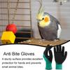 Haustier Bissfeste Handschuhe Meerschweinchen Anti-Biss-Handschuhe Sicherer Griff Verdickte Fäustlinge Haustierprodukte für Katzen Hunde Eichhörnchen Hamster