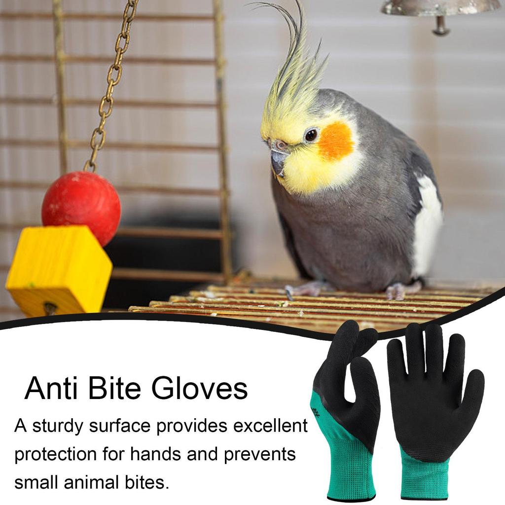 Haustier Bissfeste Handschuhe Meerschweinchen Anti-Biss-Handschuhe Sicherer Griff Verdickte Fäustlinge Haustierprodukte für Katzen Hunde Eichhörnchen Hamster