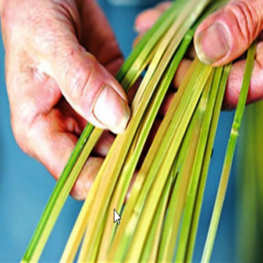 Polštář Cool Breeze Natural Domestic Blue Bamboo Cozy (D170*700-1.2Kg, Bambusová manželka pro vaši horkou letní noc)