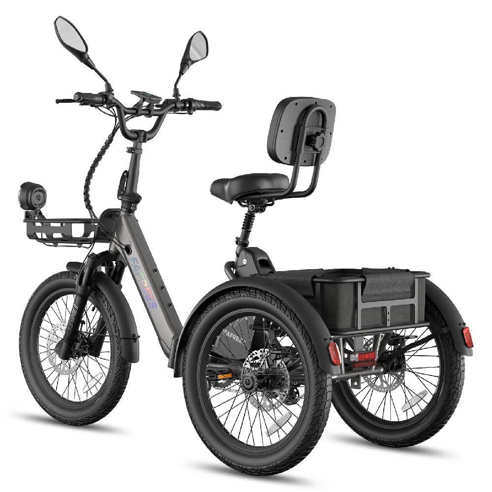 Fafrees F20 Mate Elektrisches Lastenfahrrad 20" Luftreifen 250W Motor Faltbares E-Bike Höchstgeschwindigkeit 25km/h LCD-Display Maximale Zuladung 180Kg