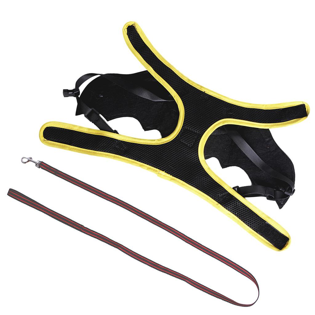 Kostým netopýřích křídel pro mazlíčky Kostým na hraní rolí pro kočku Postroj na venčení psa na párty Halloween