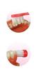 Brosse à dents fabriquée au Japon 12 pièces [Leikable]