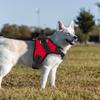 Pet Chest Strap with Handle Reflective Dog Vest Harness Adjustable Pet Vest Cat Outdoor Vest Dog Walking Harness Easy Control for Dog Cat Rabbit